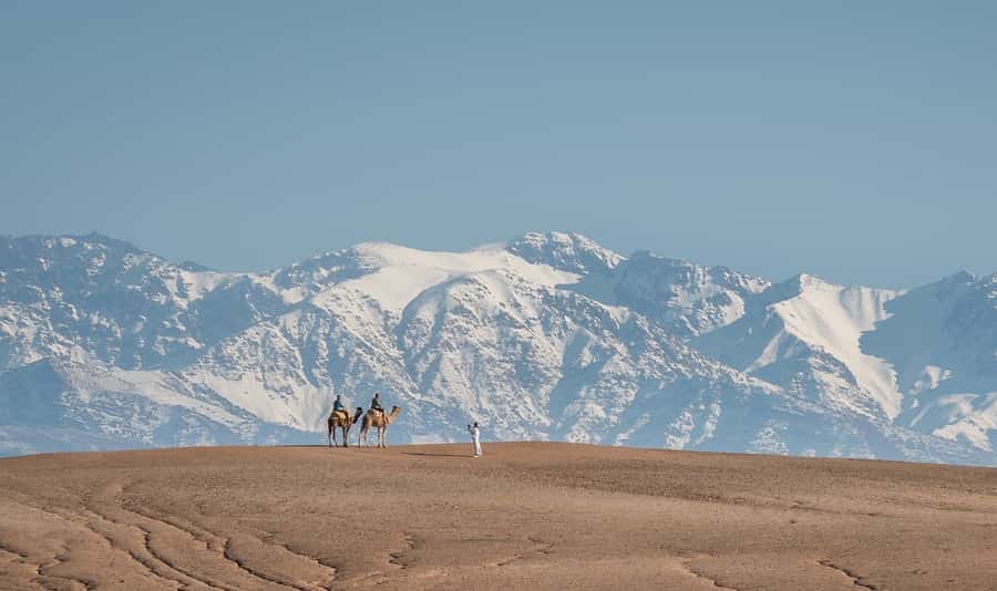 From Marrakech: VIP Agafay Desert & Oasis Camel Experience - The 45-minute ride from Marrakech to the oasis