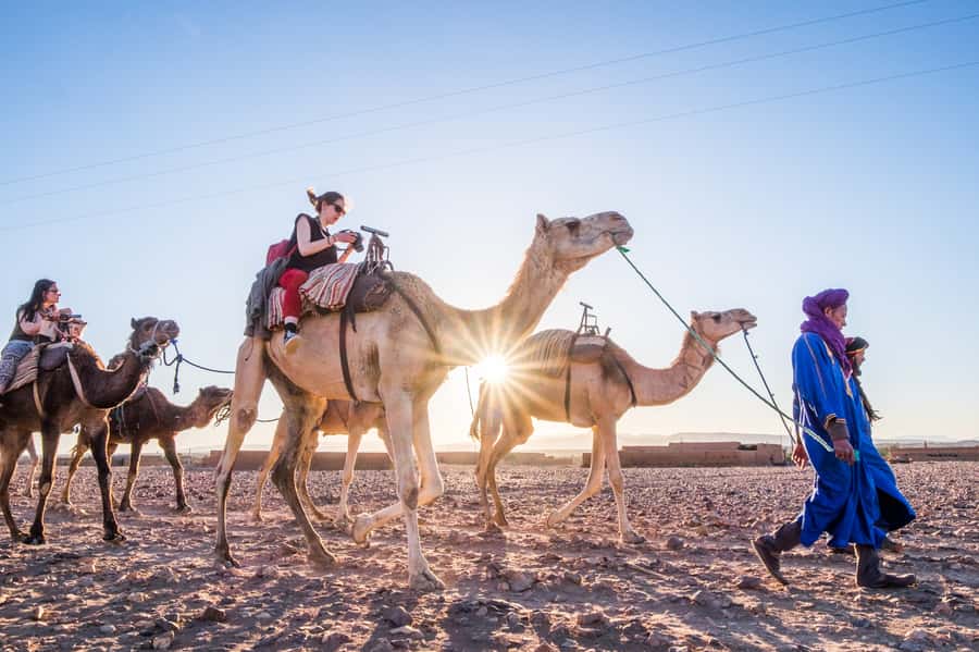 From Marrakech: Zagora 2-Day Desert Safari with Food & Camp - What the $113 price really covers