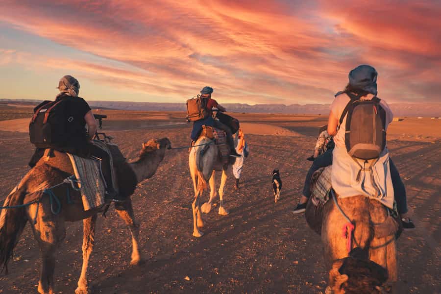 From Marrakech: Zagora 2-Day Desert Safari with Food & Camp - Ait Ben Haddou is more than a movie stop