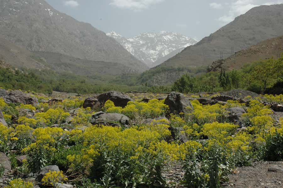 From Marrakesh: 3-Day Trip to Berber Villages - Day one: Imlil, Tamatert, and Tinerhourhine