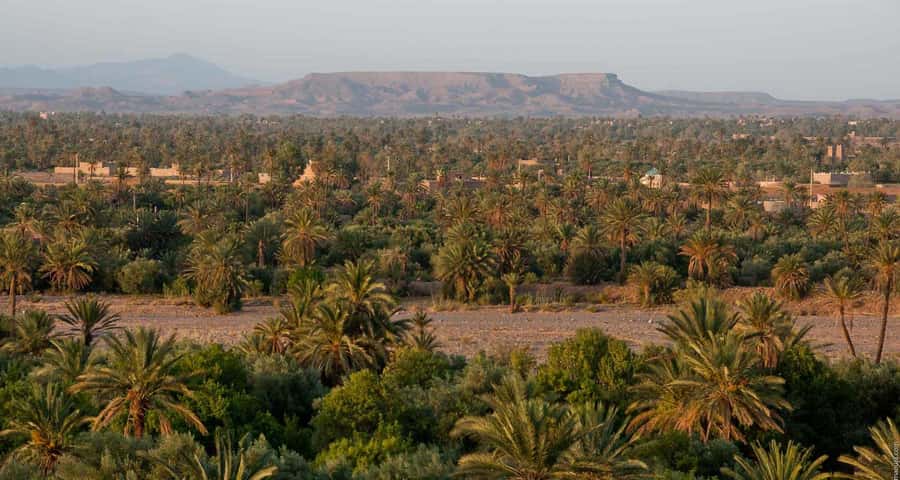 From Marrakesh: 4-Day Private Atlas Mountains & Desert Tour - Day three: Rissani, Drâa Valley, and Ouarzazate