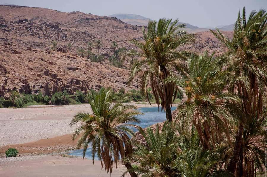 From Marrakesh: 4-Day Private Atlas Mountains & Desert Tour - What the private format really gives you