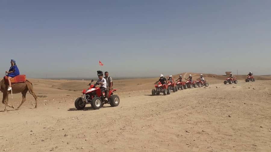 From Marrakesh: Agafay Desert Quad Biking, Camels & Dinner - Key points to know before booking