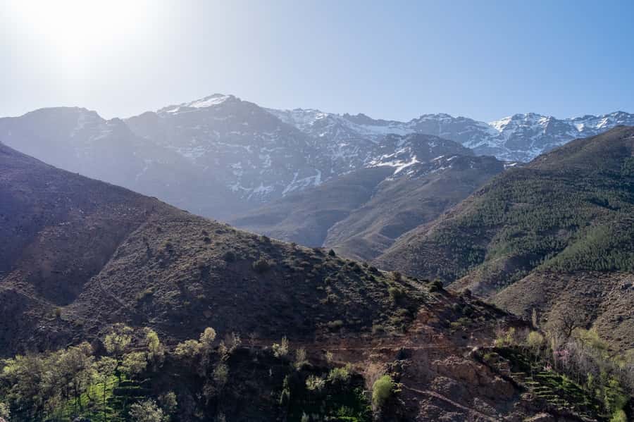 From Marrakesh: Atlas Mountains Talamrout Summit Day Hike - Talamrout Summit at a glance
