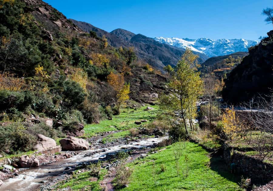 From Marrakesh: Day Trip to Atlas Mountains & Optional Lunch - From Marrakesh to the quieter side of the Atlas