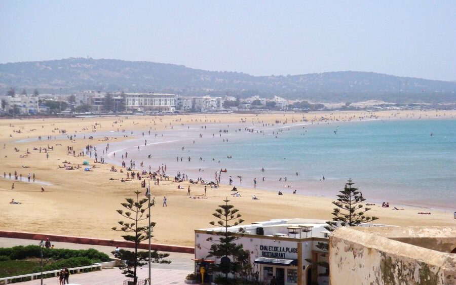From Marrakesh: Essaouira Day Trip - The harbor, fishing boats, and Sqala du Port