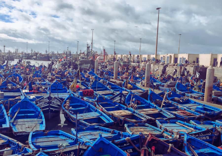 From Marrakesh: Essaouira Full-Day Trip - Why Essaouira makes a good break from Marrakesh