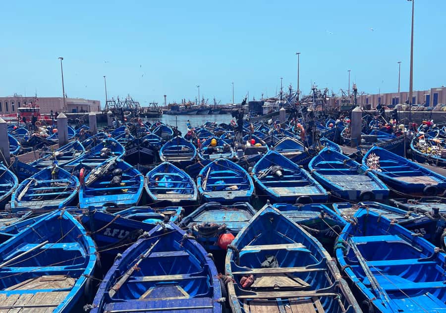 From Marrakesh: Essaouira Full-Day Trip - Entering Essaouira through the port