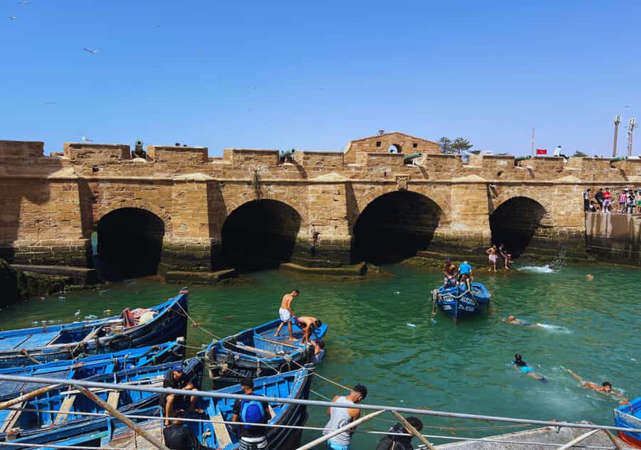 From Marrakesh: Essaouira Full-Day Trip - How the $20 price compares with the experience