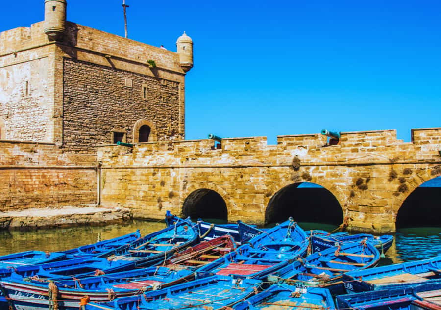 From Marrakesh: Essaouira Full-Day Trip - The drive from Marrakesh to the Atlantic
