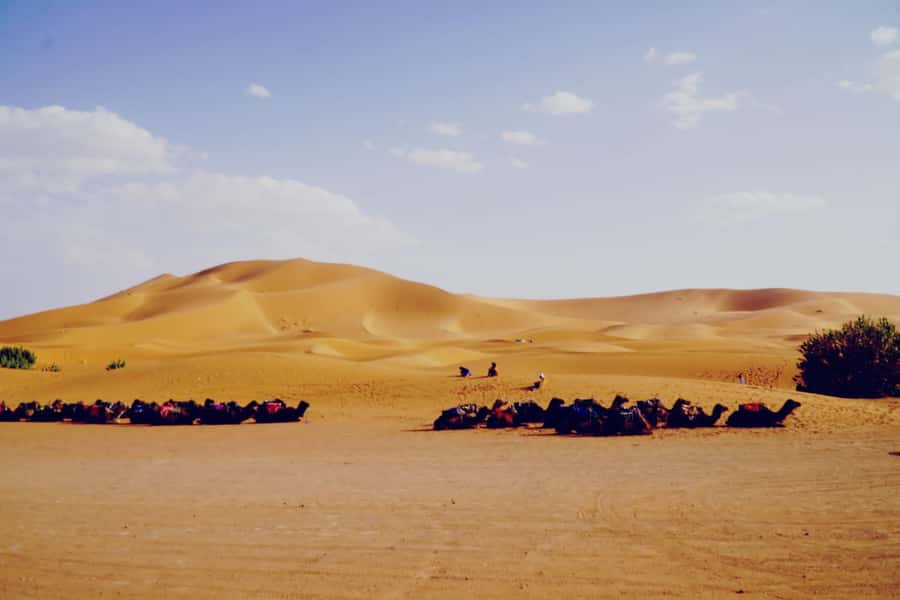 From Merzouga: Desert Overnight in Heated Tent & Camel Ride - Riding into the golden dunes at sunset