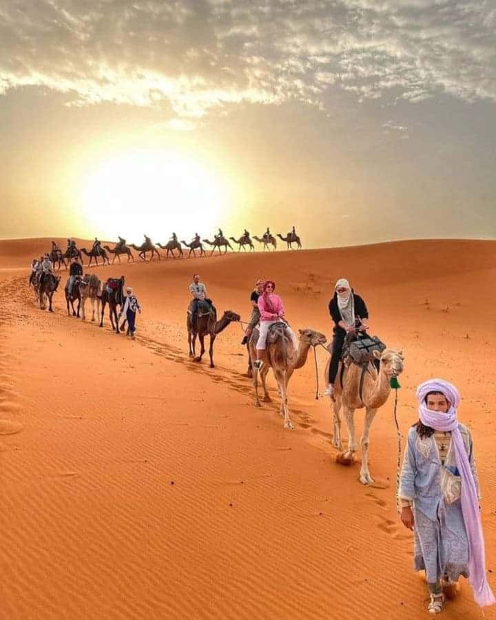From Merzouga: Overnight Camel Trek over Erg Chebbi Dunes - Key points at a glance