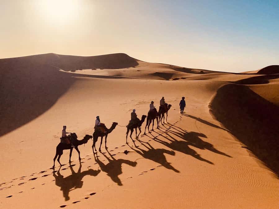 From Merzouga: Overnight Camel Trek over Erg Chebbi Dunes - Sunrise and the morning ride back