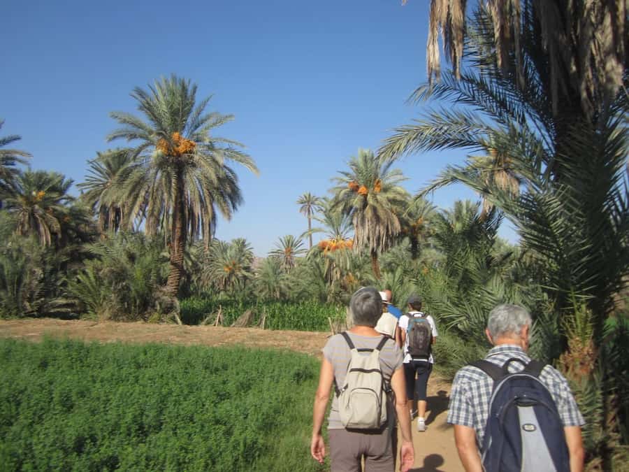 From Taghazout/Agadir: Taroudant and Tiout Day Trip & Tajine - Tajine, couscous, and mint tea in Tiout