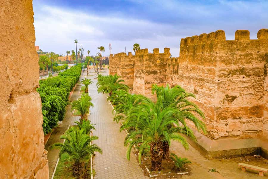 From Taghazout/Agadir: Taroudant and Tiout Day Trip & Tajine - The argan-tree goat photo stop