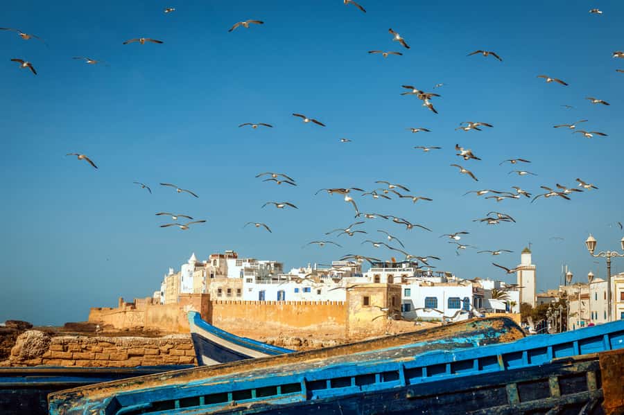 From Taghazout: Medina of Essaouira Guided Day Trip - The road from Taghazout to Essaouira