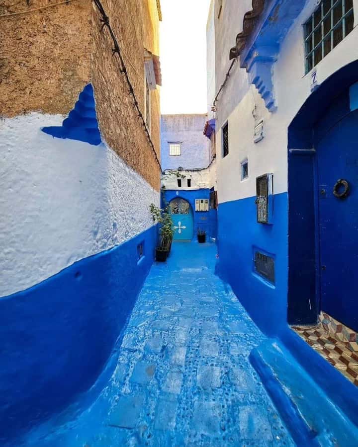 From Tangier: Asilah Tour with Tea Tasting & Camel Ride - What you get for $85 from Tangier
