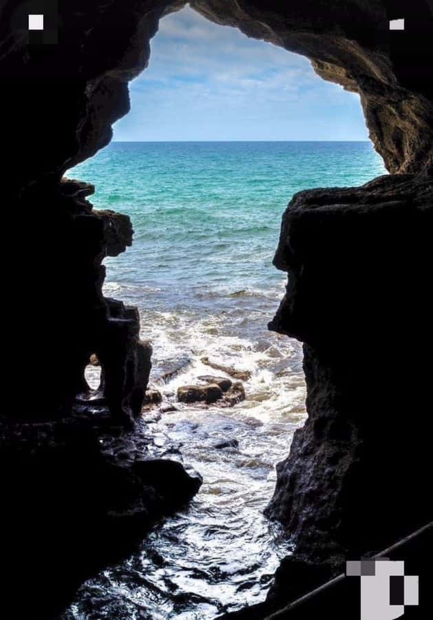 From Tangier: Asilah Tour with Tea Tasting & Camel Ride - Asilah’s painted medina and local life