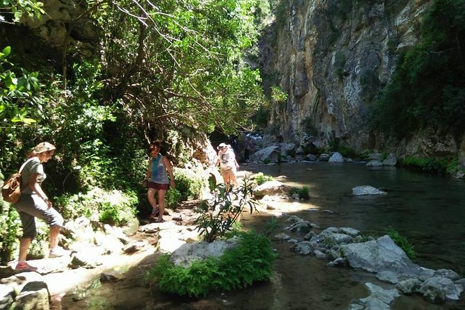 From Tangier: Day Trip to Chefchaouen and Akchour Waterfalls - Walking, swimming, and what to pack