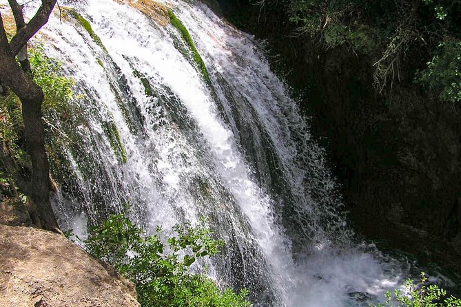 From Tangier: Day Trip to Chefchaouen and Akchour Waterfalls - How much value do you get for $74?