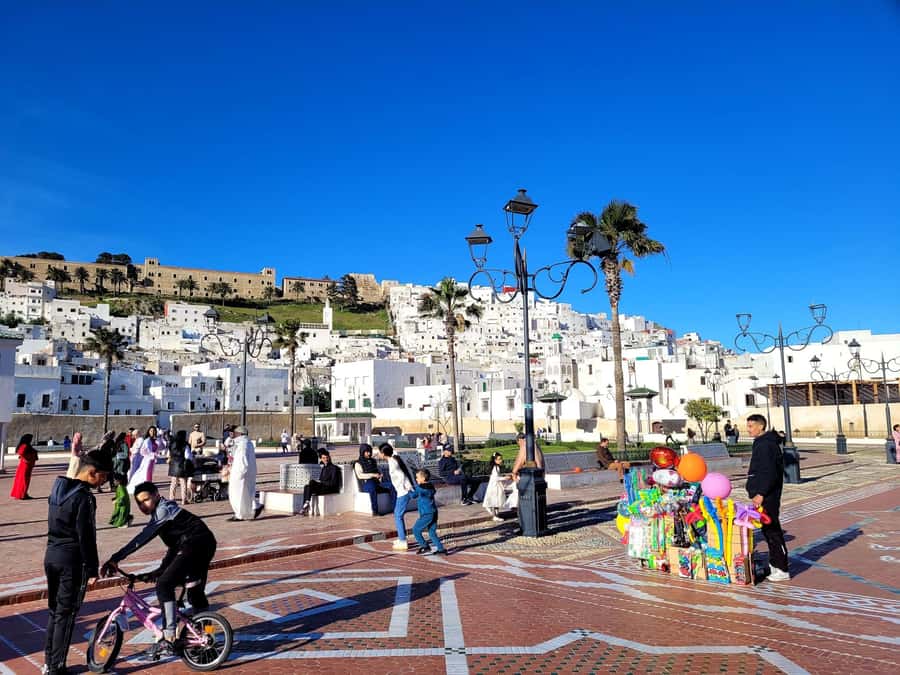 From Tangier: Day Trip to Tetouan with Local Guide - Key things to know before booking