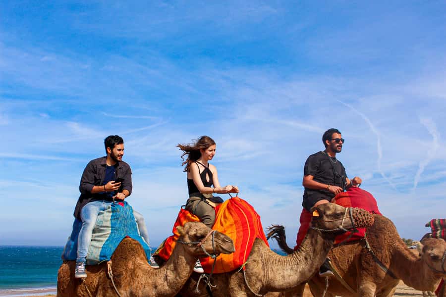 From Tangier: Full-Day Tangier, Asilah, & Cape Spartel Tour - Who should book this experience