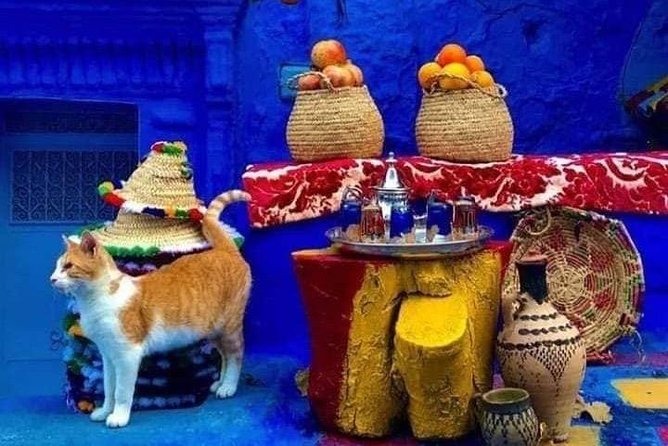 From Tangier: Special Day Trip to Chefchaouen and Tetouan - Three and a half hours in Chefchaouen