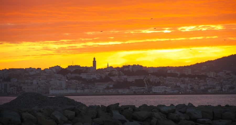 From Tarifa: Tangier Full-Day Trip with Lunch - The Caves of Hercules in 20 minutes