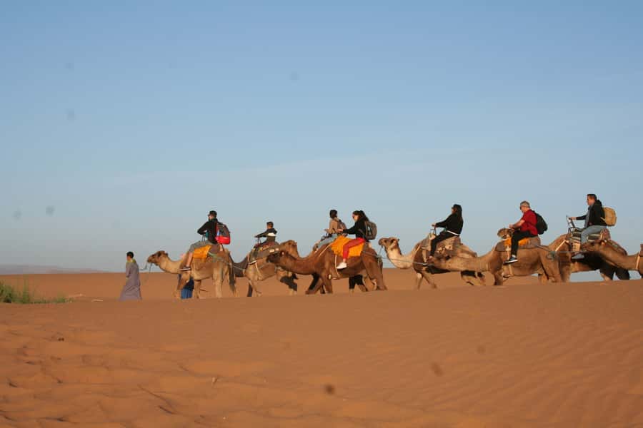 From Zagora: 2-Day Desert Tour to Erg Chegaga - Who should book this desert trip