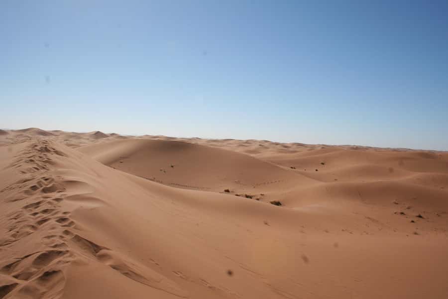 From Zagora: 2-Day Desert Tour to Erg Chegaga - Mhamid and the last road into Erg Chegaga