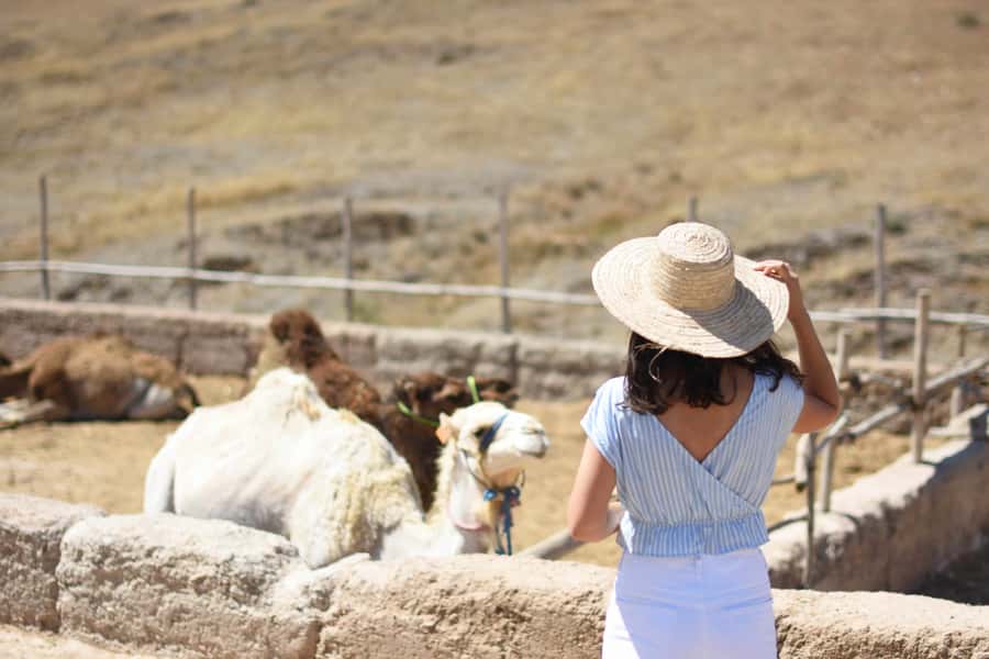 Full-Day Agafay Desert & Atlas Mountains Tour With Camels - Key points to know before you book