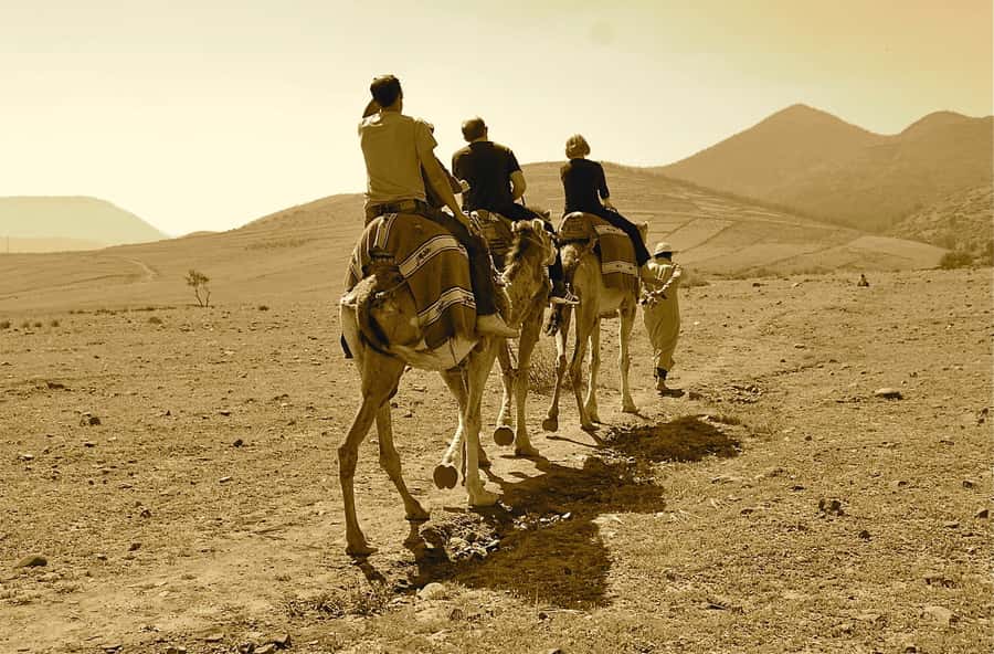 Full-Day Agafay Desert & Atlas Mountains Tour With Camels - Who will enjoy this day most