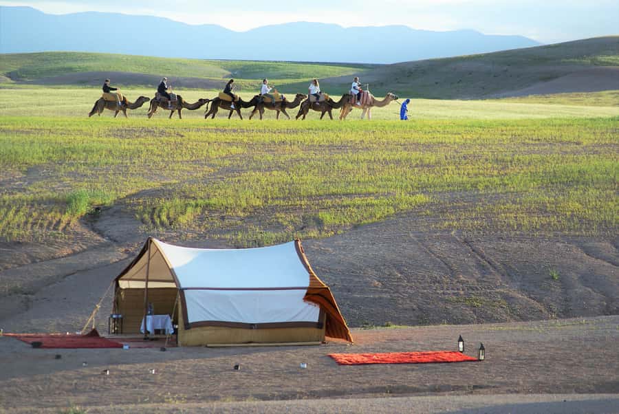 Full-Day Agafay Desert & Atlas Mountains Tour With Camels - A full day that links desert and mountain scenery