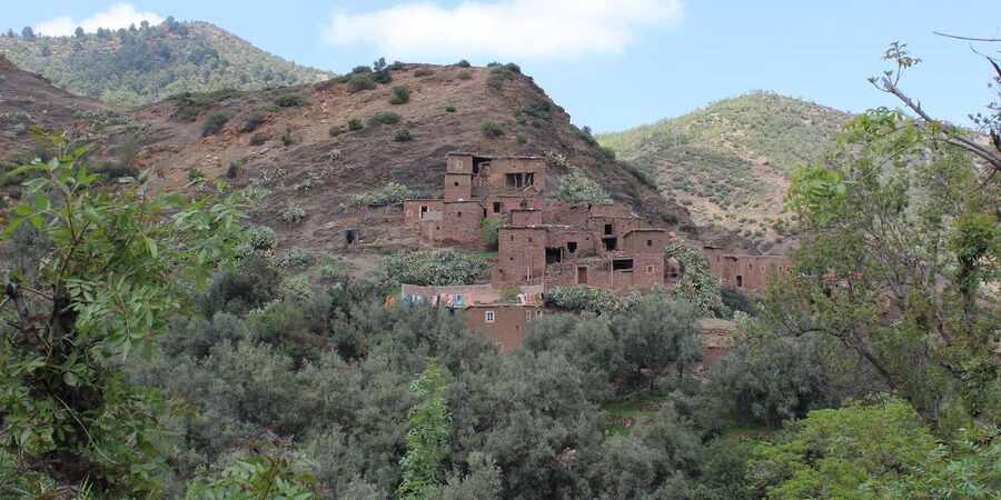 Full-Day Agafay Desert & Atlas Mountains Tour With Camels - Lunch with a Berber family