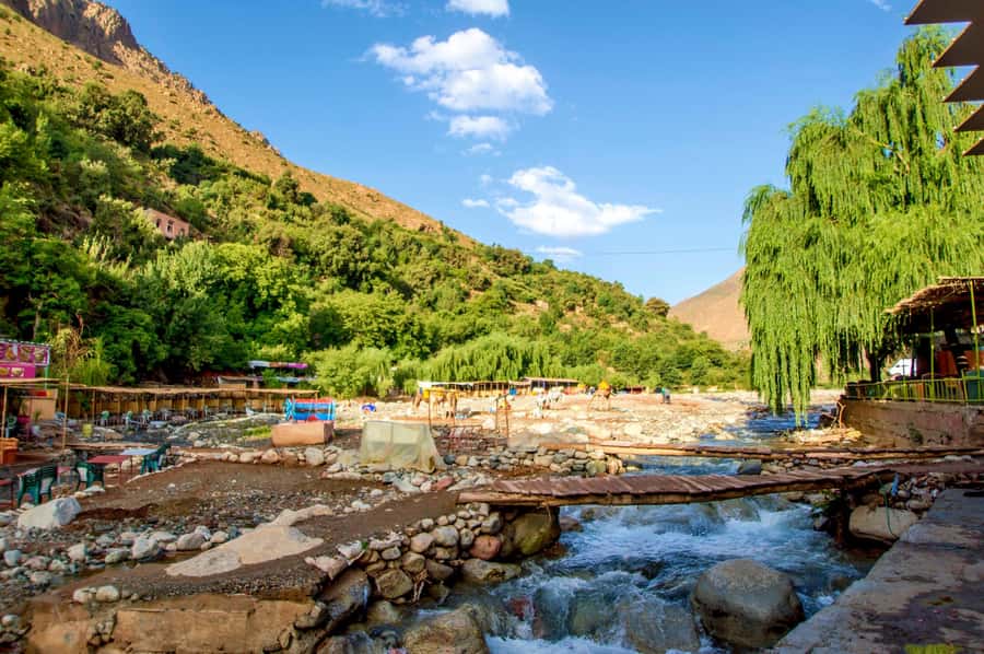 Full-Day Agafay Desert & Atlas Mountains Tour With Camels - Transport, timing, and the small-group format