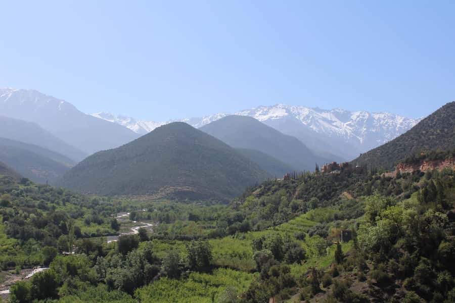 Full-Day Agafay Desert & Atlas Mountains Tour With Camels - Seeing the Agafay Desert from a camel