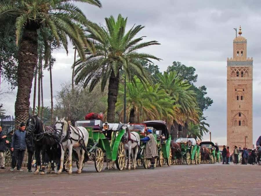 Full-Day Group Trip to Marrakech from Agadir - How the $43 price holds up