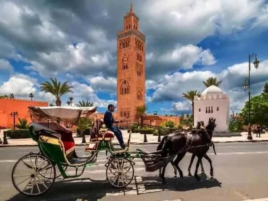 Full-Day Group Trip to Marrakech from Agadir - What to pack and how to manage the day