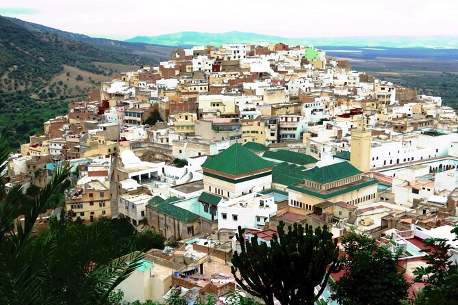 Full-day Historical Meknes Volubilis and Moulay Idriss Tour - Key points before you book