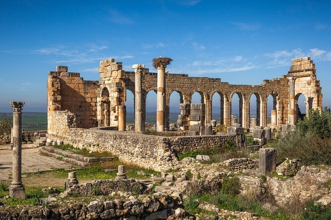 Full-day Historical Meknes Volubilis and Moulay Idriss Tour - Who should book this excursion?
