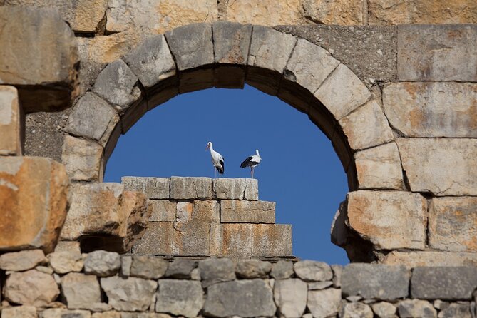 Full-Day Historical Tour to Meknes Volubilis and Moulay Idriss - What the $29.04 price really includes