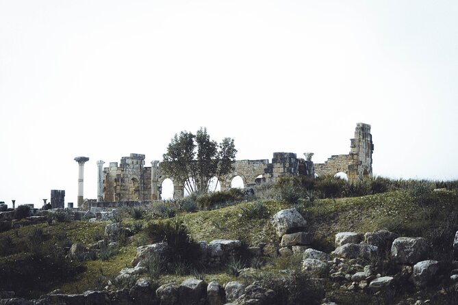 Full-Day Historical Tour to Meknes Volubilis and Moulay Idriss - Who should book this experience