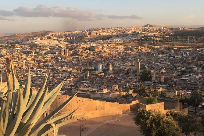 Full -Day Private Guided Walking Tour Of Fez Medina - The tanneries and Fez’s working crafts