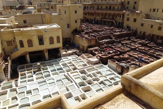 Full-Day Private Tour of Fez - Dar Batha, Jnan Sbil, and a needed pause