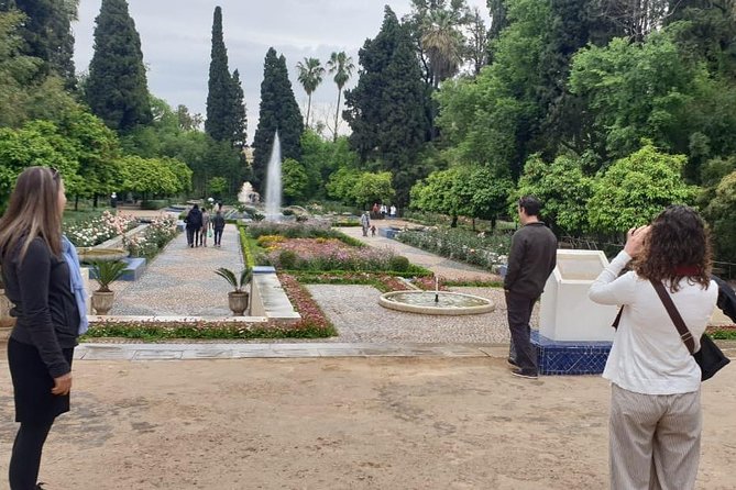 Full-Day Private Tour of Fez - Chouara Tannery and the working craft of leather