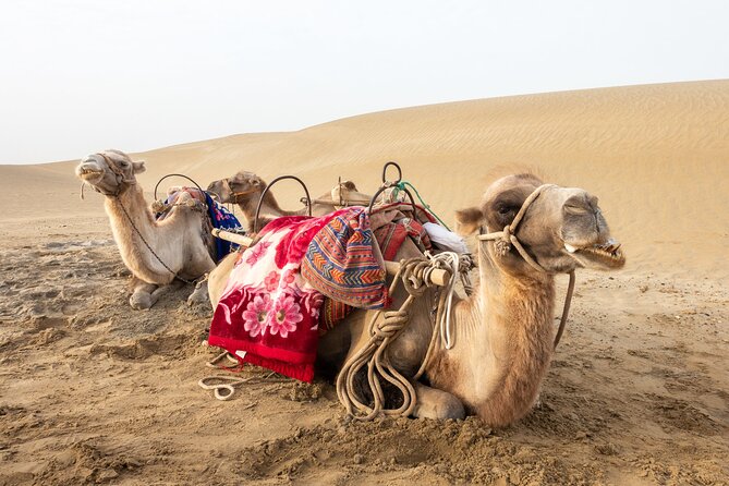 Full Day Tour to Desert Trip in Agadir with Lunch - Arbaa Rasmouka, dunes, and the 4x4 ride