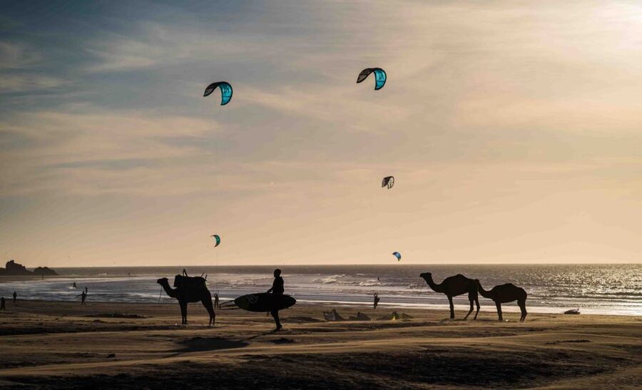 Full Day Trip From Marrakech To Essaouira - Choosing lunch near the port