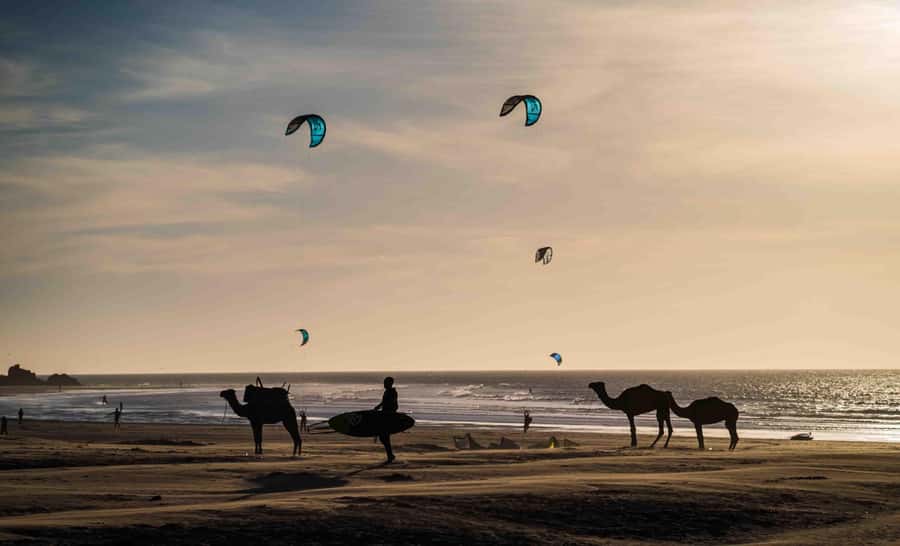 Full Day Trip From Marrakech To Essaouira - The return to Marrakech