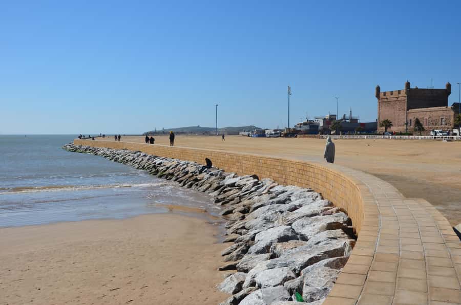Full Day Trip From Marrakech To Essaouira - Who should take this trip