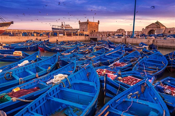 Full Day Trip To Essaouira From Marrakech - The argan cooperative and roadside stops